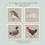 Thumbnail: Multipack x 4 Greeting Card Notecard Set - Any Occasion - Bird Design