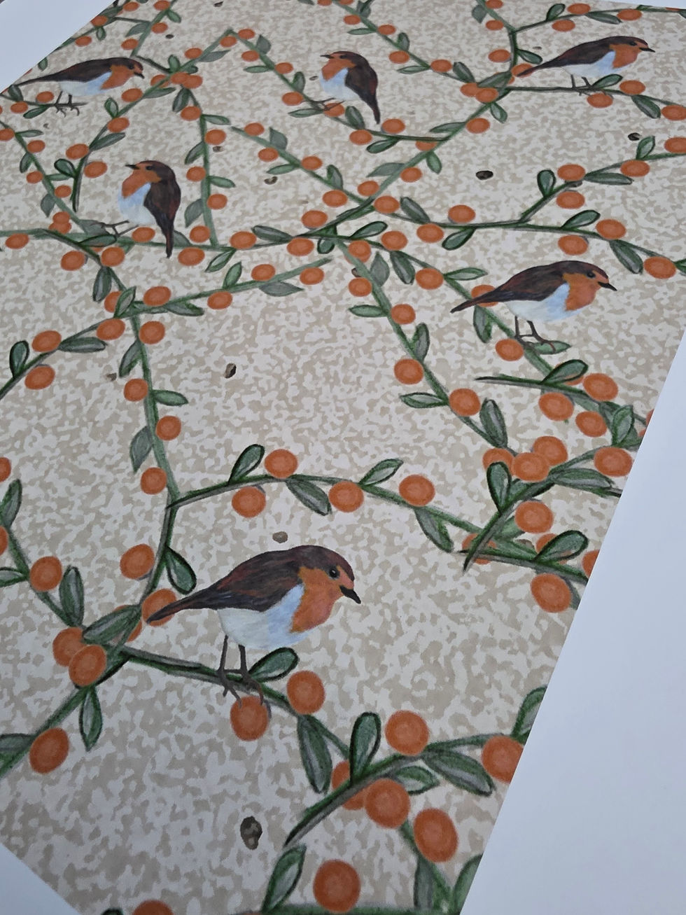 Thumbnail: A4 Art Print - European Robin & Berries Countryside Wildlife Design