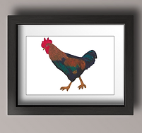 Black Framed Mounted Wall Art - Cockerel -Country Farmhouse Design - Donna Fowler.png