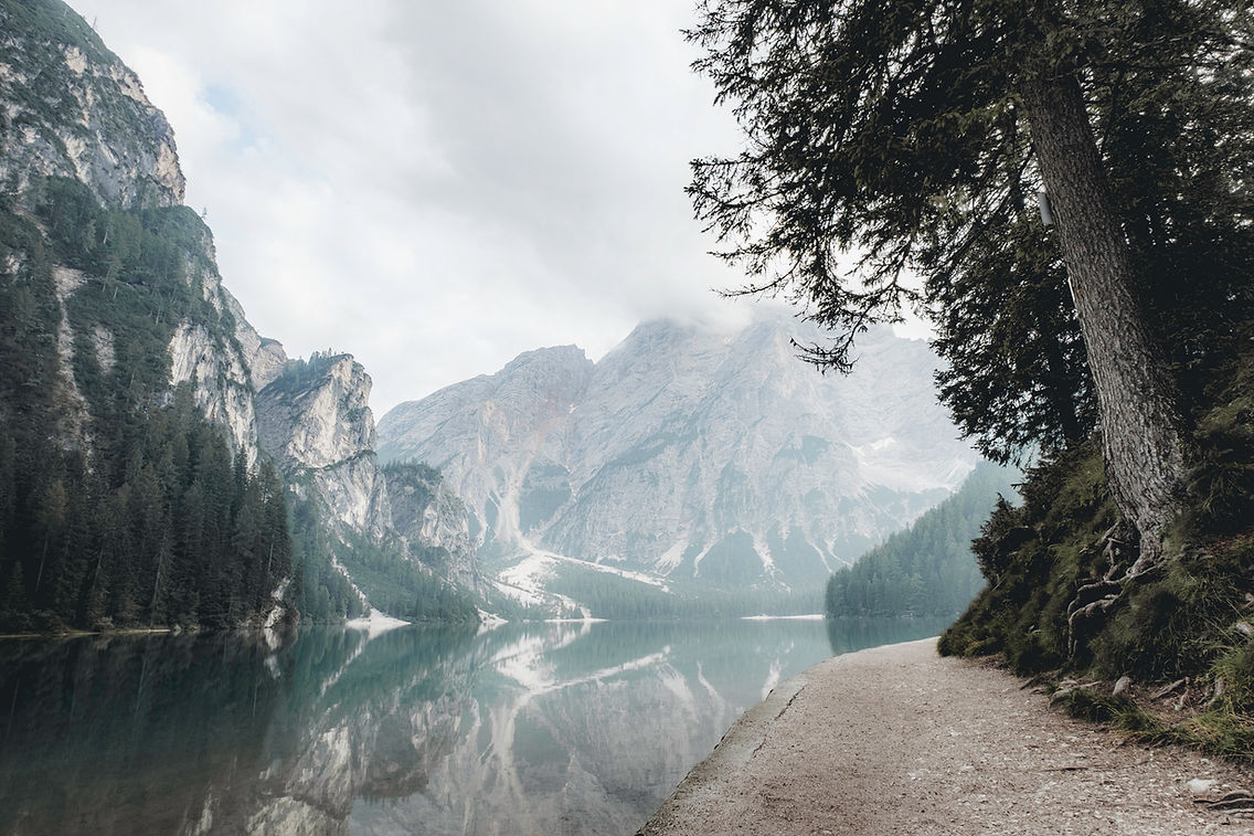 Forest Lake
