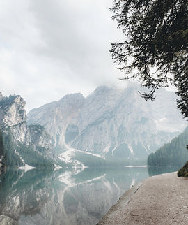 Forest Lake