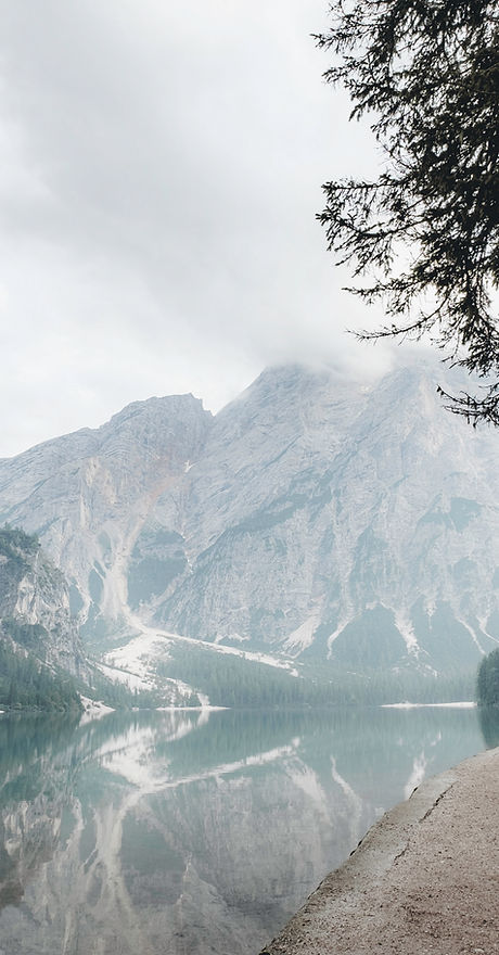 Forest Lake