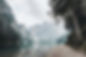 Forest Lake