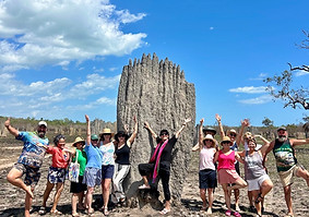 anthill group.jpeg