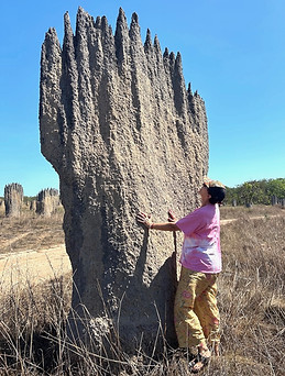 termite mound.jpg