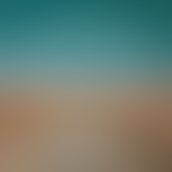 From Conversion to Confirmation Sponsor