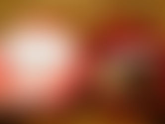 オーガニックの。