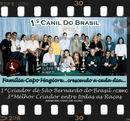 FESTA-RANKING-GIF.gif