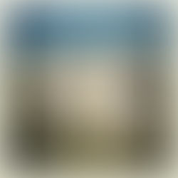 Rollers lose at Melkbos homecoming