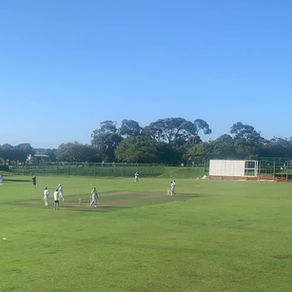 Black Batts spin Rollers to yet another loss
