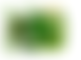 Zyklusbewusste Ernährung – warum dein Körper in jeder Phase etwas anderes braucht