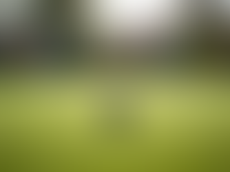 Fort Wayne Lawn Bowls Club: Grand Opening Event Details