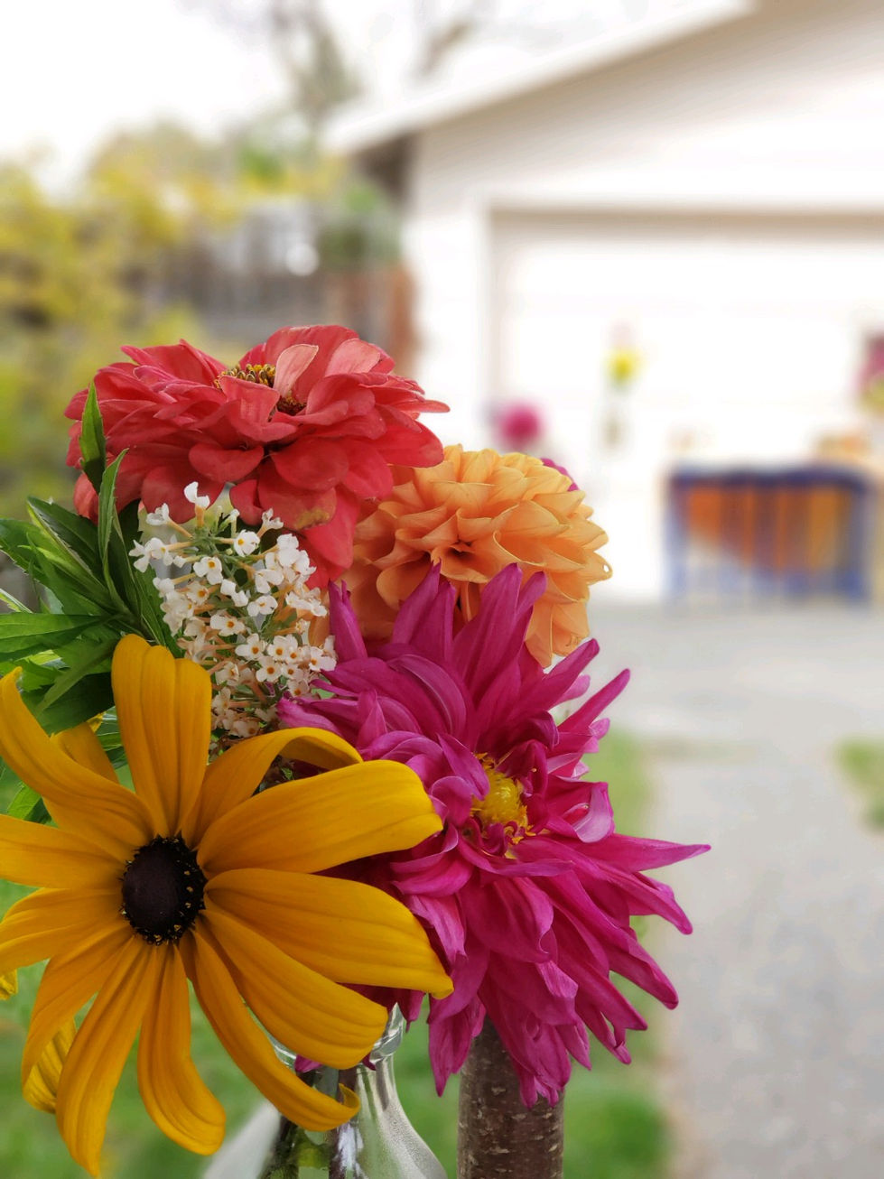 Close Up Driveway Flowers