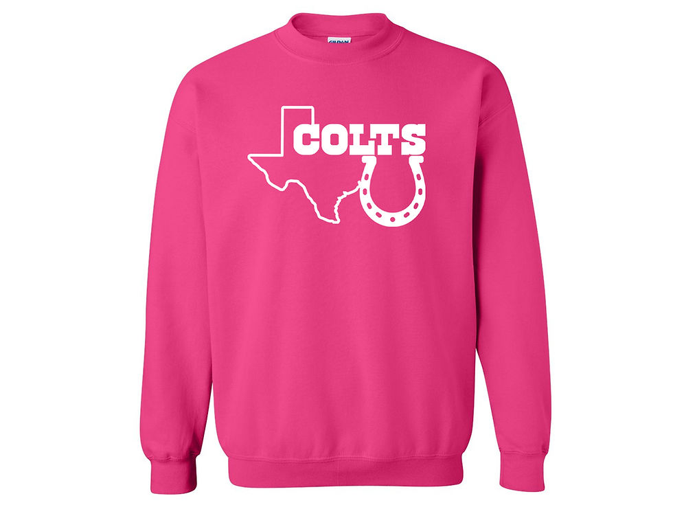 Thumbnail: Texas Colts Sweatshirt