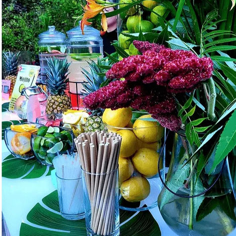 Self-serve Mojito Bar with spirits, mixers, fresh fruit, and herbs prepared for an outdoor backyard event