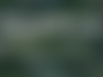 Growing Instead of Firing: When Life Replaces the Kiln