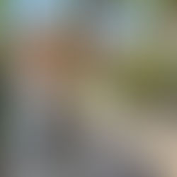 NECMEDDİN SUĞRA HAZİRESİ