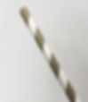 fullsizeoutput_23ee.jpeg