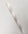 fullsizeoutput_23d9.jpeg