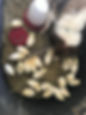 Flicka w chicks.JPG