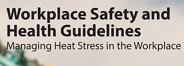 WSH Guidlines Cover Photo.png