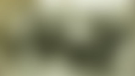 Из истории казачества