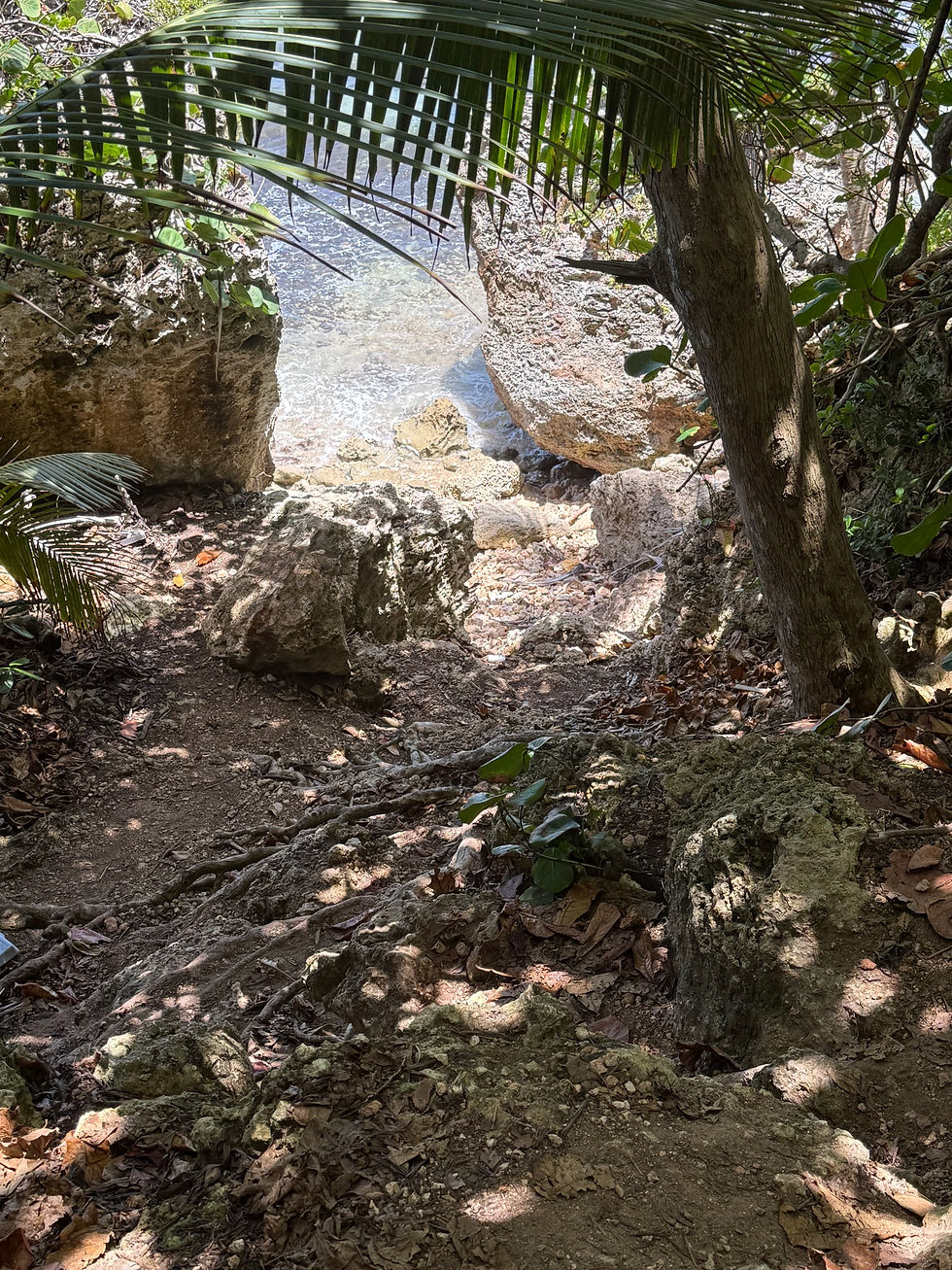 looking down the cliff