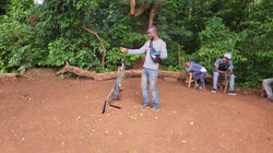 les singes sacrées yna lodge facobly