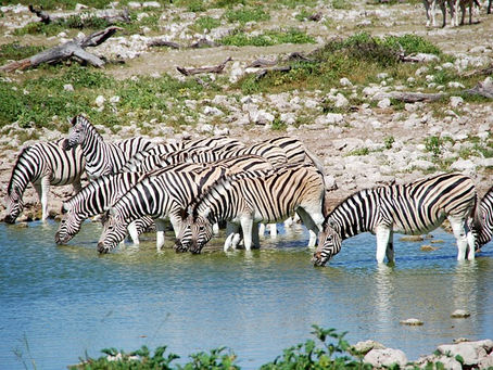 Our Divine Response-Ability: Look For Inclusion In Everything