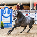 250406-438.jpg