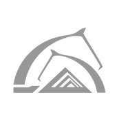 laaa_logo pilkas be fono.png