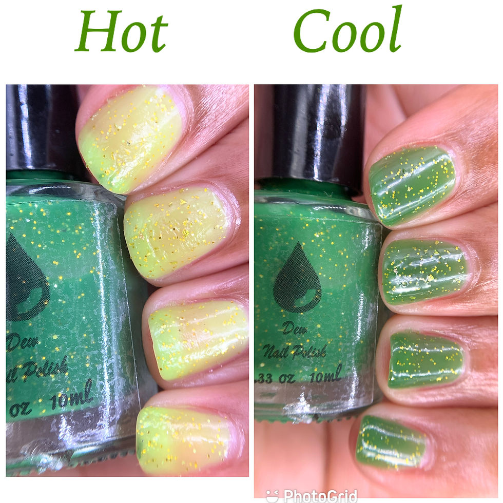 Thumbnail: Moringa