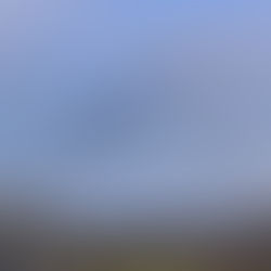 The Swarm Will Change Many Things by Dr. Timothy Smith