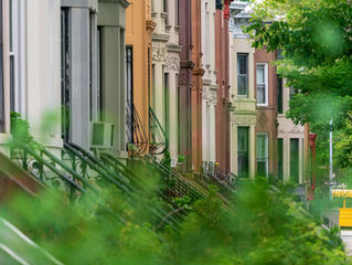 Fiction: Soured Lemon Cake by Joe Giordano