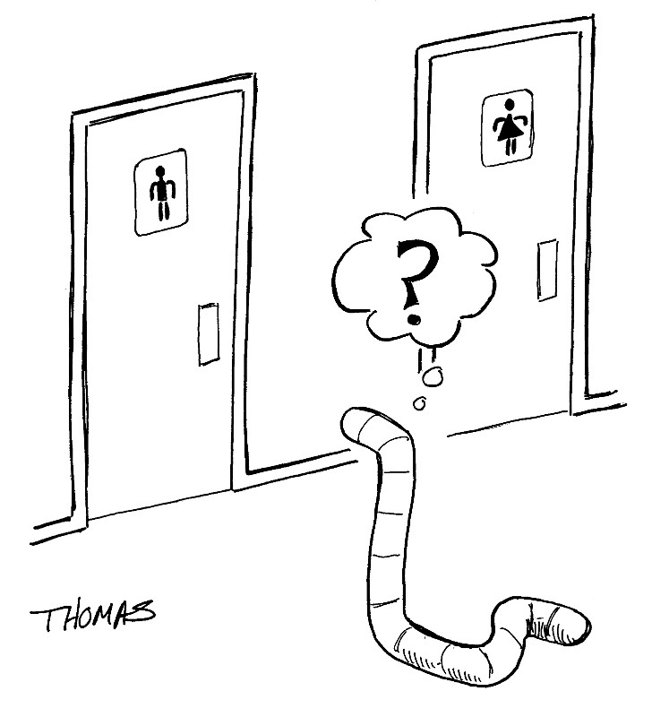 Worm Indecision