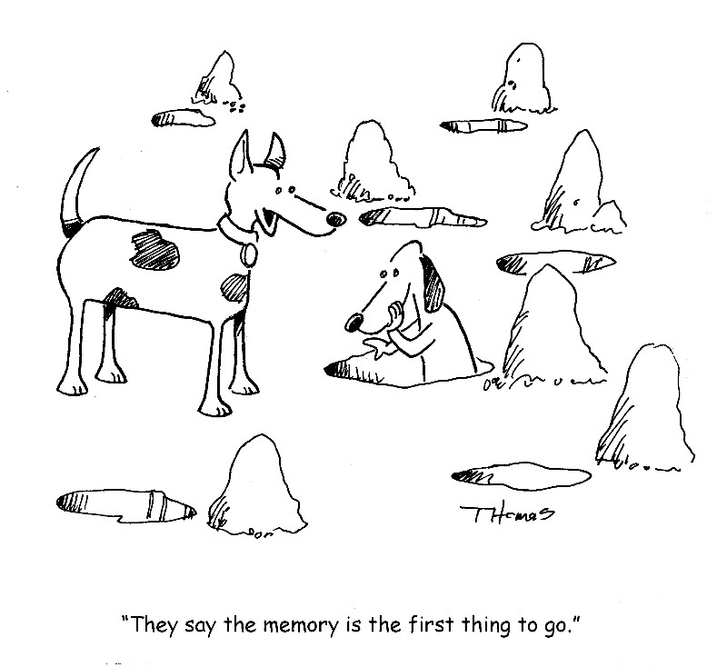Dog Memory