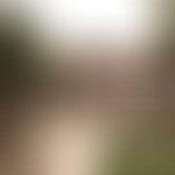 Sister Claudia by Salvatore Difalco