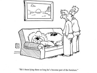 Guess What, It's Friday! Enjoy Some Cartoons