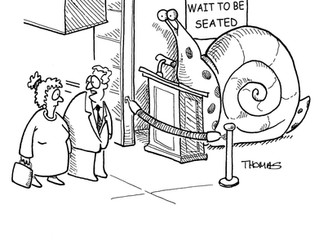 Unwind with Some Cartoons!