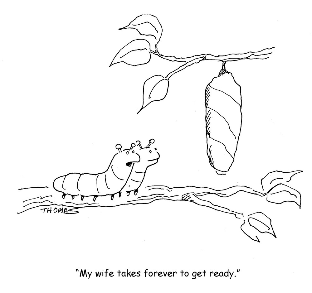 Caterpillars