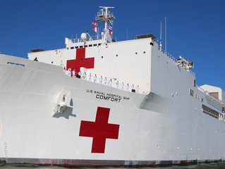 Floating Hospitals: An Overview of Hospital Ships