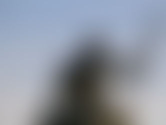 Selected Poetry by Alicia Hilton