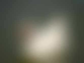 Selected Poetry by Sarah Watkins