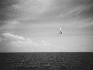 Anchored in the timelines of the tides — A Photography Exhibition by PHI PHI AN