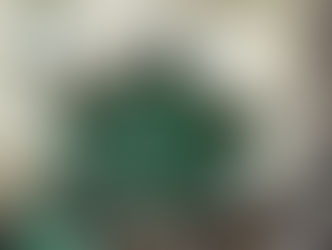 Pigeon Messiah by Robin Hall