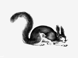 Fiction: Small Spirits and Squirrel Leather