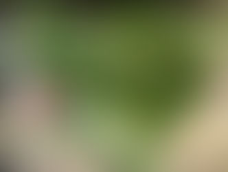 Saturday Inspiration: The Haiku