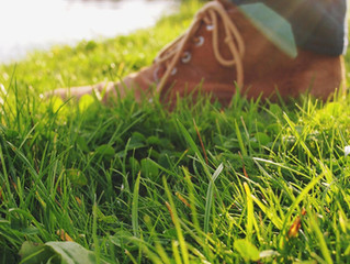 Grass as Far as the Eye Can See: A History of Grass Lawns