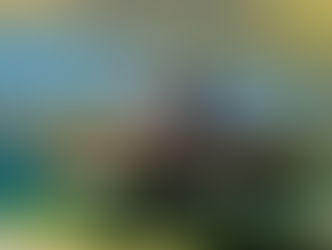 Fiction: The Mallards of St. Catherine by Zach Keali’i Murphy