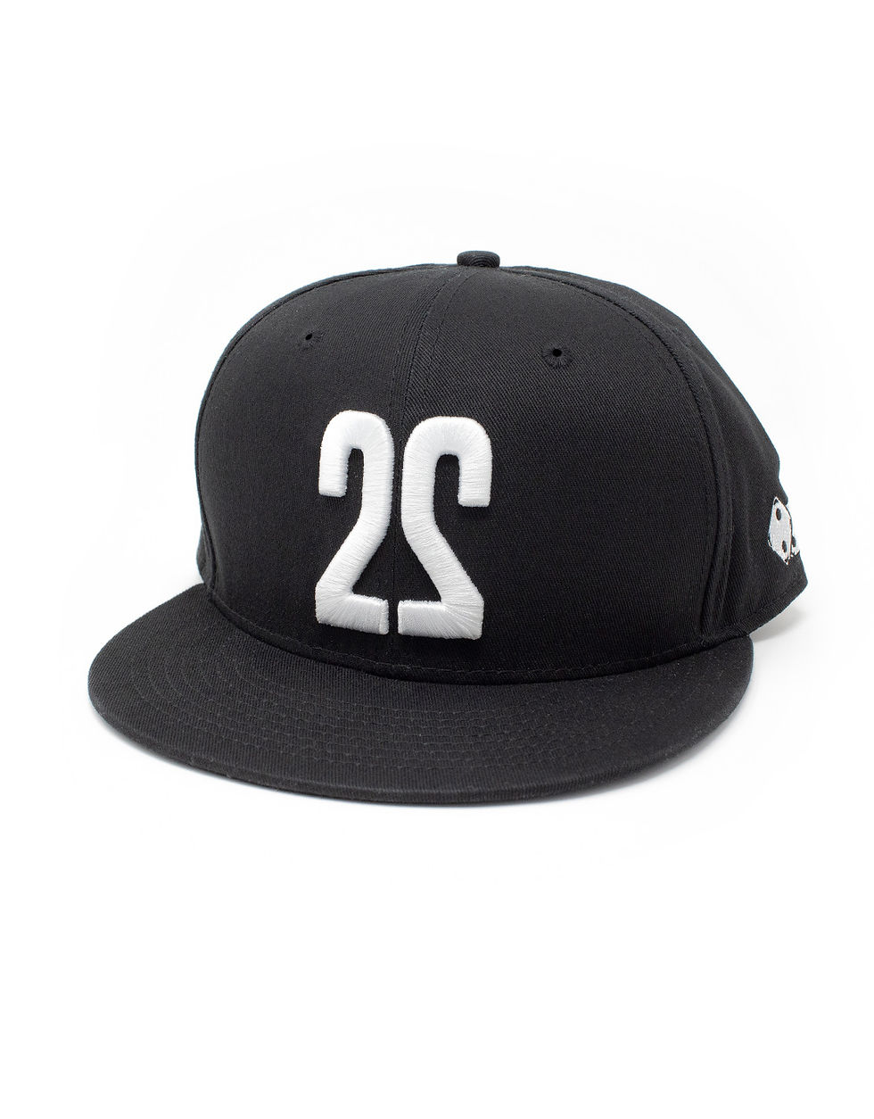 Miniature : Cap22 - Snapback